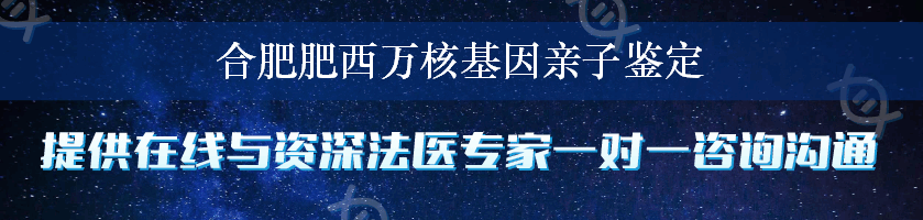 合肥肥西万核基因亲子鉴定